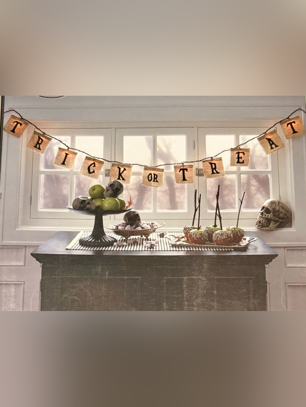 Halloween Trick or Treat Lit Banner 11 Clear Bulb Indoor Outdoor Black Wire 5Ft